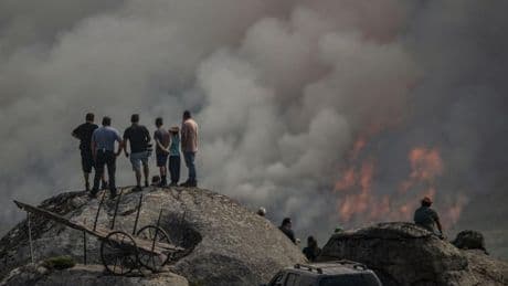 Vital ayuda contra el fuego