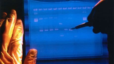 DNA'lar yeniden kodlanacak: Laboratuvarda "insan üretimi" başlıyor!