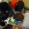 Hilfe für Brennpunktschulen: Brandenburg streicht Budgets