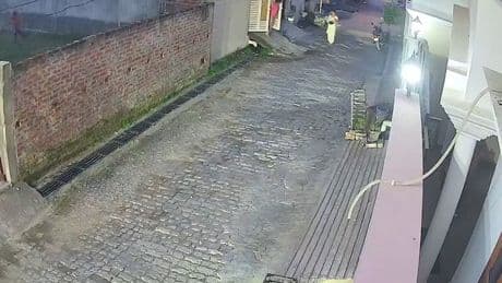 Horror moment kid is carried off in jaws of stray dog pack as he plays by house