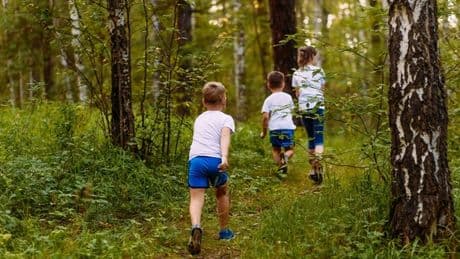 Friuli Venezia Giulia a misura di bambino: vacanza in Carnia tra fattorie, lanternate e laboratori creativi