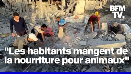 Pour Médecins sans frontières, Israël crée les conditions pour une "éradication des Palestiniens" à Gaza