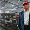 Why it's time to build our own Alligator Alcatraz - it'll cut crime and might just stop the small boats: LEO McKINSTRY