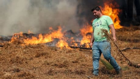 Natuurbranden in Zuid-Europa en Turkije veelal onder controle, dreiging blijft