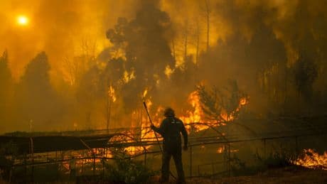 Abel, Jaime... las cuatro vidas que se han cobrado los terribles incendios que se expanden por España