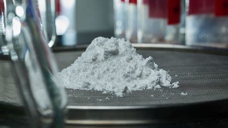 Dans le laboratoire de Dionymer, rencontre avec les bactéries du bioplastique