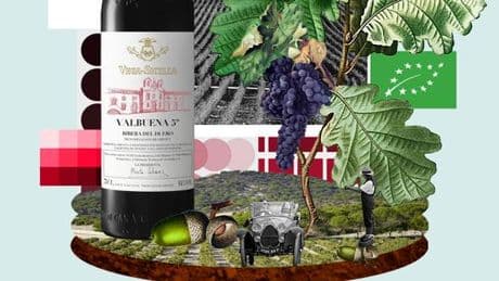 Vega Sicilia, la Rolls des vins espagnols