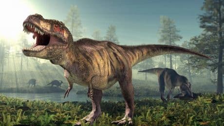 Dinosaur voice box fossil reveals what they sounded like 150,000,000 years ago