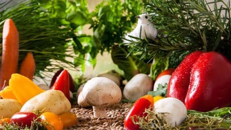 Qué plantar en septiembre: flores, verduras y frutas ideales para tu jardín o huerto
