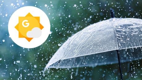 KI statt Wetterfrosch: Google testet neues Feature