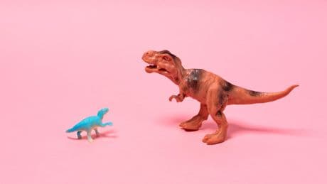 David tegen Goliath: waarom start-ups ondanks gigantische risico’s toch de juridische strijd aangaan met multinationals