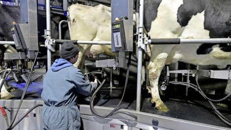’Aanzien Nederlandse zuivelindustrie gaat verloren’