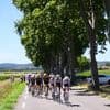 Live Tour | Arensman en Eenkhoorn in kopgroep richting Mont Ventoux