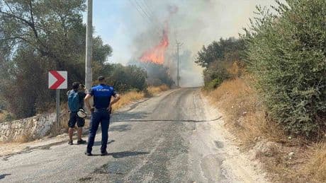 Bodrum'da makilik alanda yangın