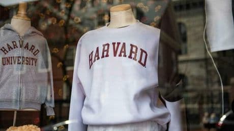 Harvard, cosa succede agli studenti italiani? L'Università: «Momento difficile ma continueremo a ospitare gli stranieri»