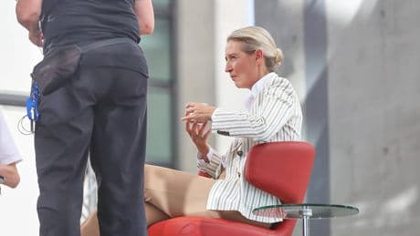 Zentrum für Politische Schönheit: "Terroristen" gegen Weidel und die AfD