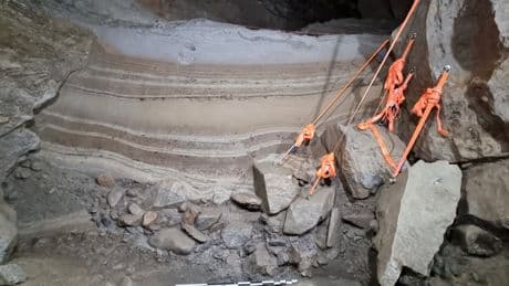 Remains of animals dating back 10,000 years found in Arctic cave: ‘A rare snapshot of a vanished world’