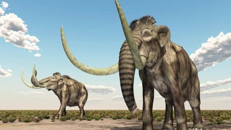 Un mamut de 1,1 millones de años revela el ADN más antiguo de una bacteria