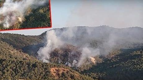Bolu'da orman yangını! Ekipler havadan ve karadan müdahale ediyor