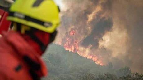 Var : l’incendie qui a parcouru 120 hectares est fixé, selon la préfecture
