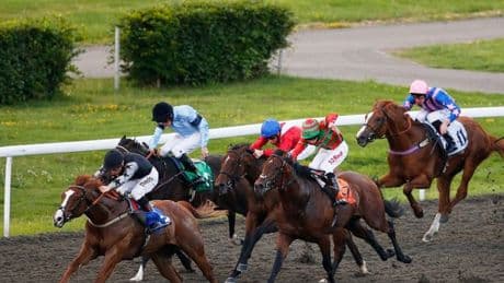 Newsboy's horse racing selections for Monday's three meetings, including Kempton nap