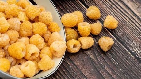 Rare golden raspberries exclusively grown in Scotland available to buy at major supermarket