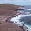 En Guadeloupe, l'île de la Désirade est un refuge pour la faune sauvage