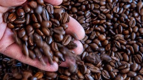 Ernteausfälle: Kaffeepreis steigt deutlich stärker als die Inflation