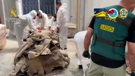 Prisión para tres narcotraficantes que introducían cocaína en pieles de bovino