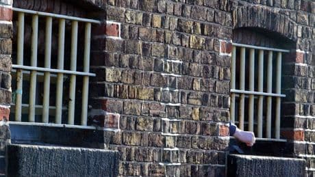 Chemical castration of sex offenders ‘worthwhile’ exploring – review chairman
