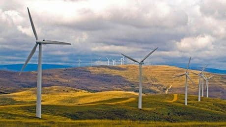 Endesa compra el 62,5% que no poseía en Cetasa por 37,5 millones y suma 99 MW eólicos a su cartera en España