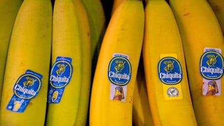 Nach fast einem Monat Streik - Alles Banane! Chiquita feuert tausende Mitarbeiter