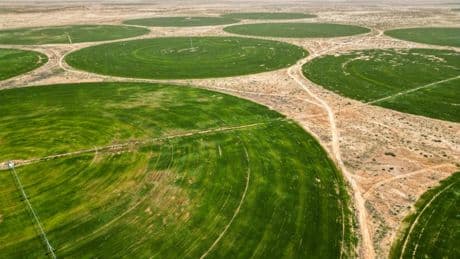 Au risque d’épuiser ses réserves, l'Irak puise dans ses nappes phréatiques pour planter son blé