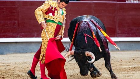 Al Alimón: Un presidente &quot;sin criterio&quot; niega el premio a Morante en Las Ventas