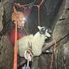 Moment cavers embark on dramatic rescue mission after sheep falls down 90ft fissure