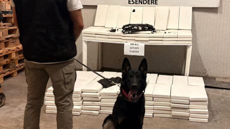 İran'dan Türkiye'ye giriş yapan TIR'da 300 kilo uyuşturucu ele geçirildi; sürücü gözaltında