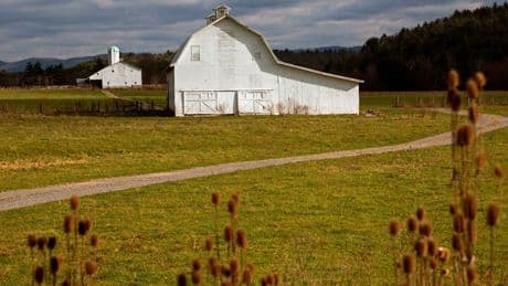 USA: Die letzte Stimme in Pocahontas County