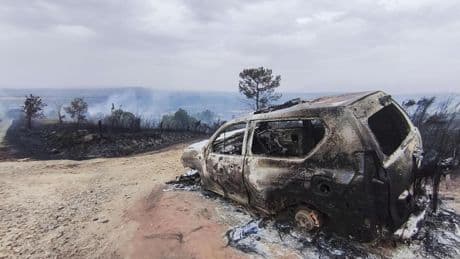 Lourdes Casademont, agente rural: “El calor de un coche puede prender la vegetación muerta y causar un incendio forestal”