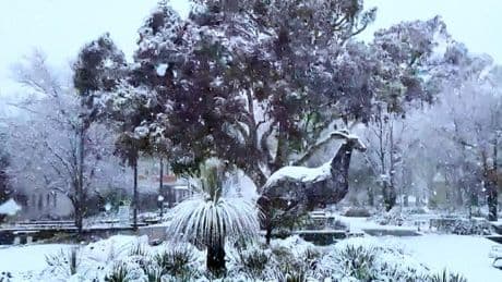 Nevada histórica en Australia: Nueva Gales del Sur registra su mayor nevada desde los años 80