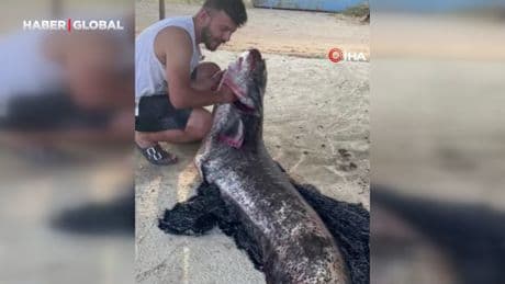 Meriç Nehri'nde yakalandı! Tam 73 kilo...