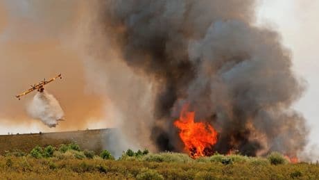 Waldbrände in Südeuropa: Sieben große Feuer und kein einziges Löschflugzeug
