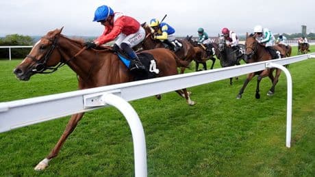 Glorious Goodwood racing tips: Best bets and odds for day three