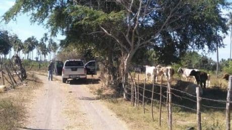 Menos homicidios y más desaparecidos en México