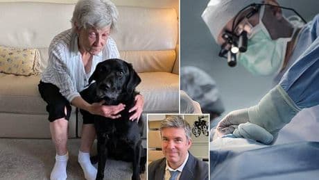 Blind woman can now see through her TOOTH thanks to rare surgery