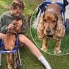 Stacey Solomon gives her dog 'a second chance in life' as she reveals Teddy is now in a wheelchair after his devastating diagnosis