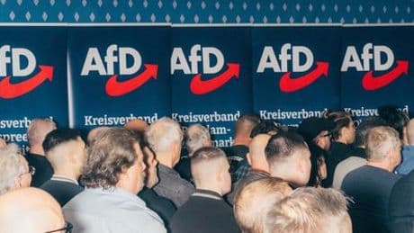 AfD in Brandenburg: Deshalb wurde der Landesverband als gesichert rechtsextrem eingestuft