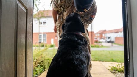 Rules on owning pets ease for families in 900 military homes in Northern Ireland