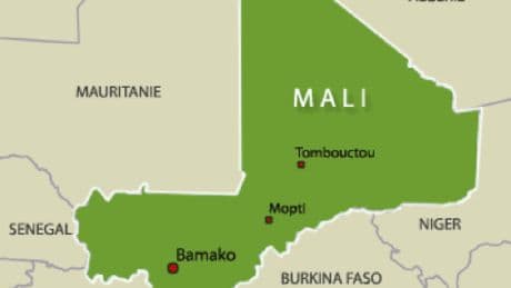Mali: les hommes arrêtés à Diafarabé ont été exécutés par l'armée