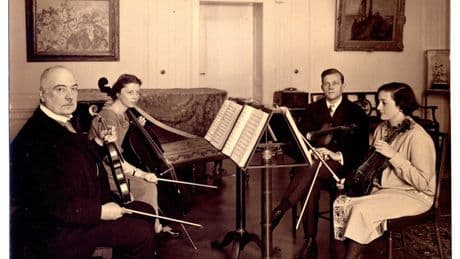 Verschollene Stradivari: Der Krimi um die Millionen-Geige