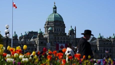B.C. legislator enraged by American state senator’s ‘nonsense’ pitch to join U.S.
